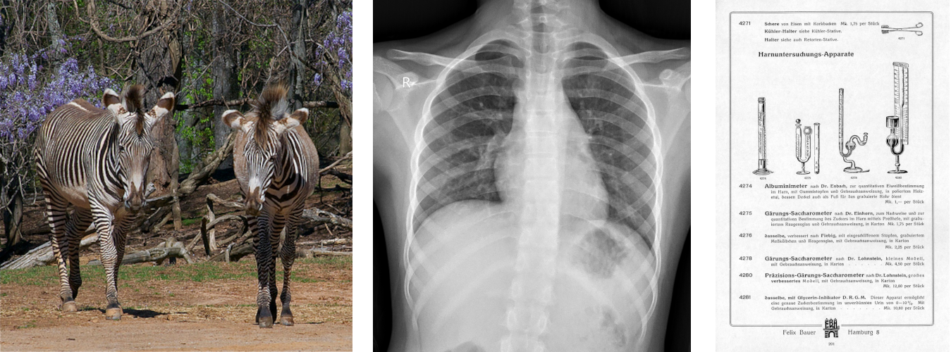 Example images of the datasets in question.